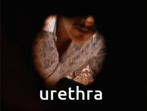 The Most Weirdest And Unique Fetishes