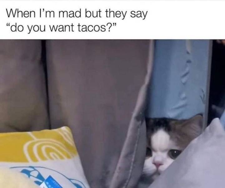 Love Laughs: Flirty Memes To Send Your Better Half