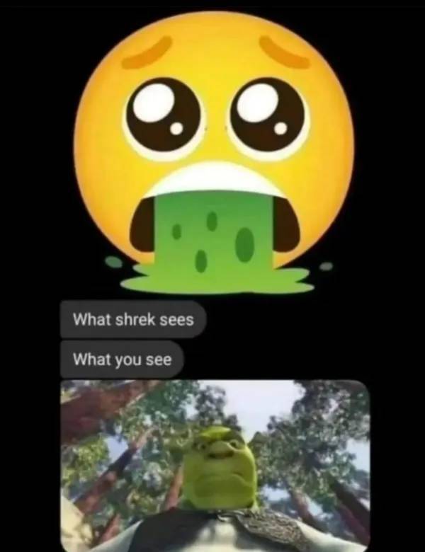 Hold On A Damn Minute!