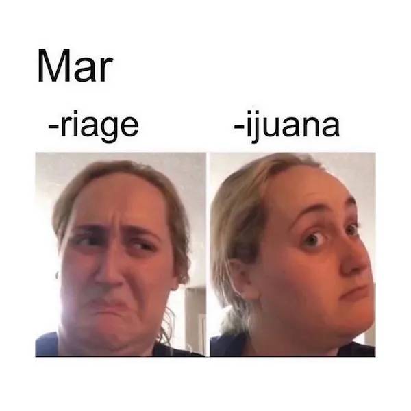 These Memes Are Already Stoned