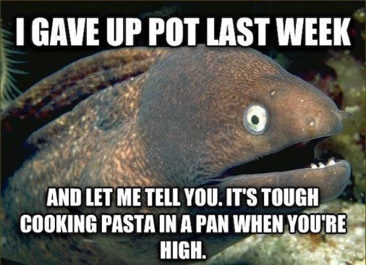 These Memes Are Already Stoned