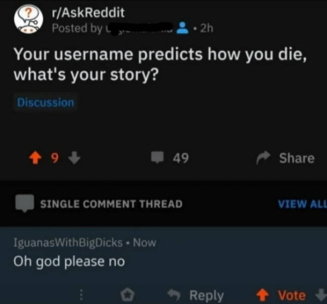 Hold On A Damn Minute!