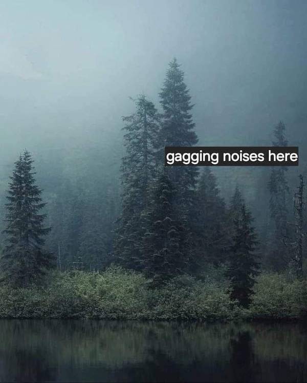 Flirty Memes To Send Your Better Half