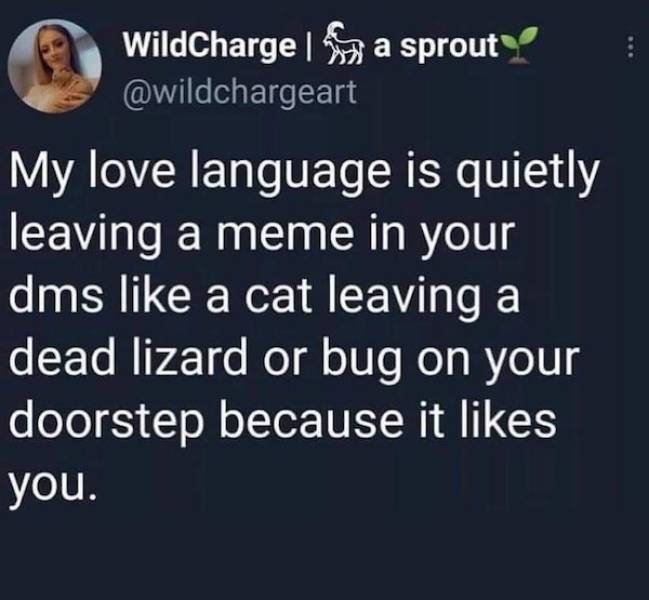 Dirty And Flirty Memes To Share With Someone Special