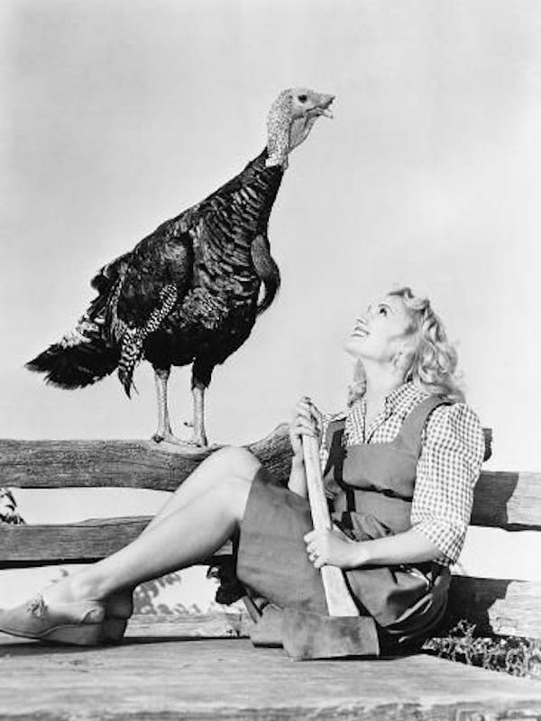 Retro Thanksgiving Pinups With Unexpected Vibes