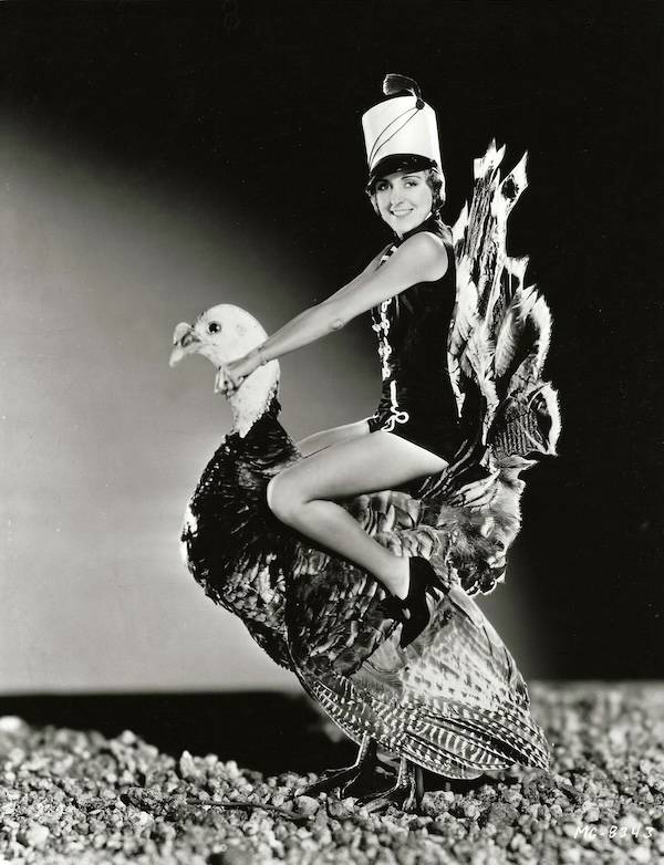 Retro Thanksgiving Pinups With Unexpected Vibes