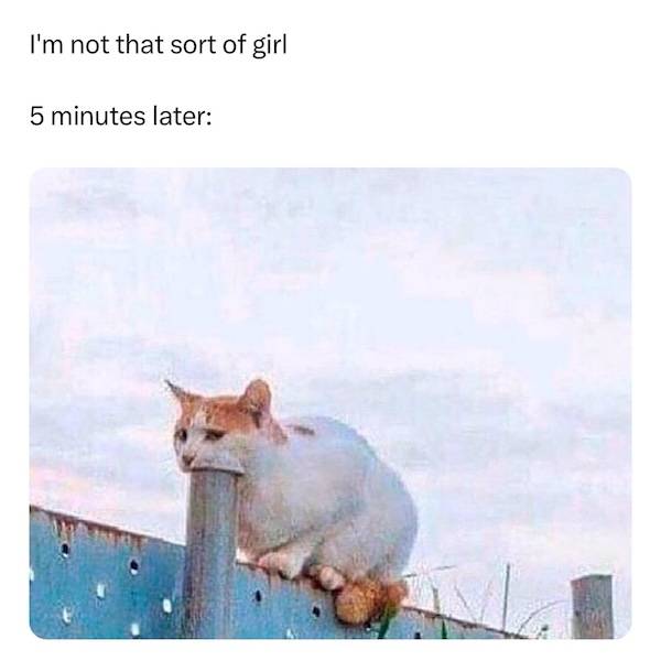 NSFW Memes To Add Some Spice To Your Life