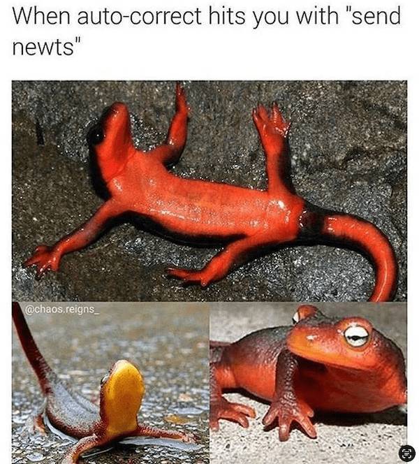 NSFW Memes To Add Some Spice To Your Life