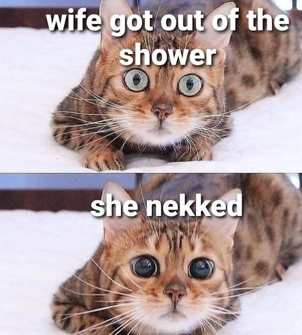 NSFW Memes To Add Some Spice To Your Life