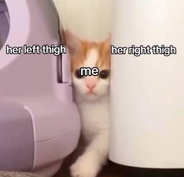 NSFW Memes To Add Some Spice To Your Life