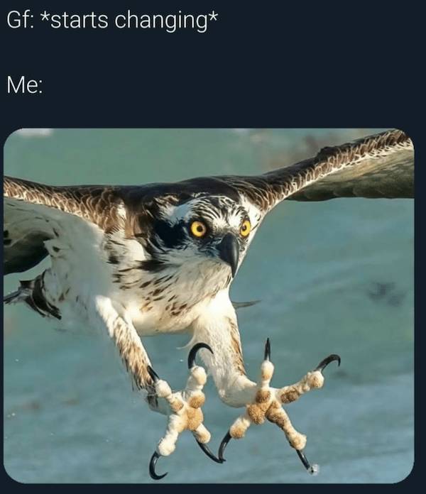 Flirty Memes To Send Your Better Half