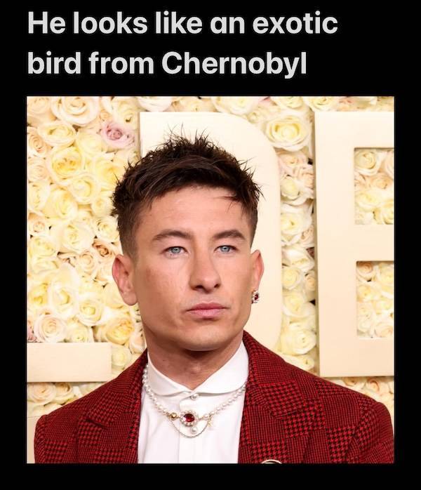 The Roast Wasn’t Just Burnt—It Was Cremated