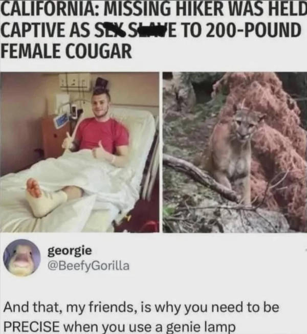 Hold Up A Damn Minute!