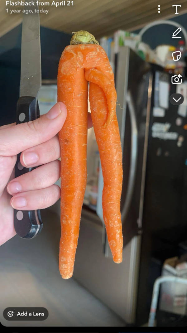 Hold Up A Damn Minute!