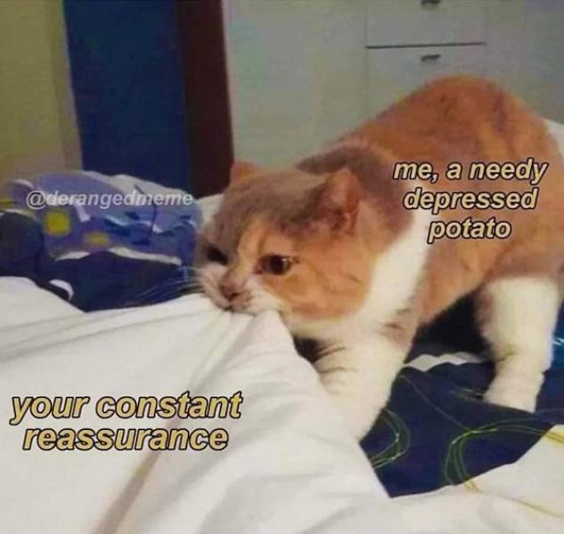 Flirty Memes To Send Your Better Half