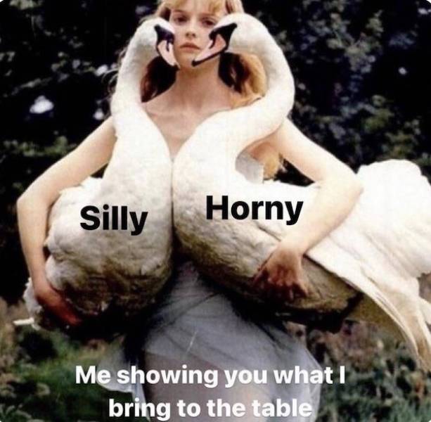 NSFW Memes To Add Some Spice To Your Life