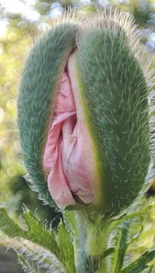 Dirty Dump For Dirty Minds