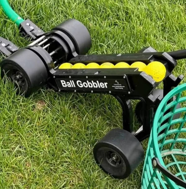 Dirty Dump For Dirty Minds