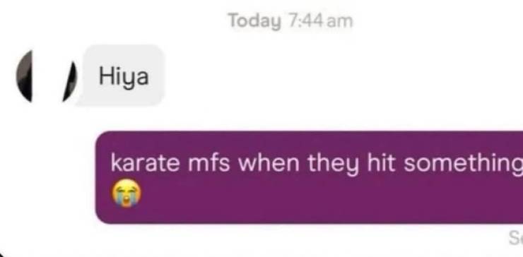 Love, Lies, and Left Swipes: Tales from Dating Apps