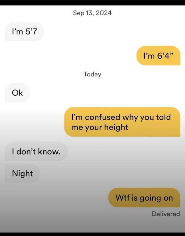 Love, Lies, and Left Swipes: Tales from Dating Apps