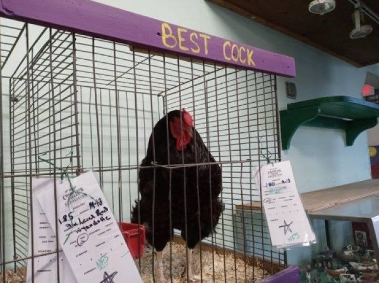 Dirty Dump For Dirty Minds