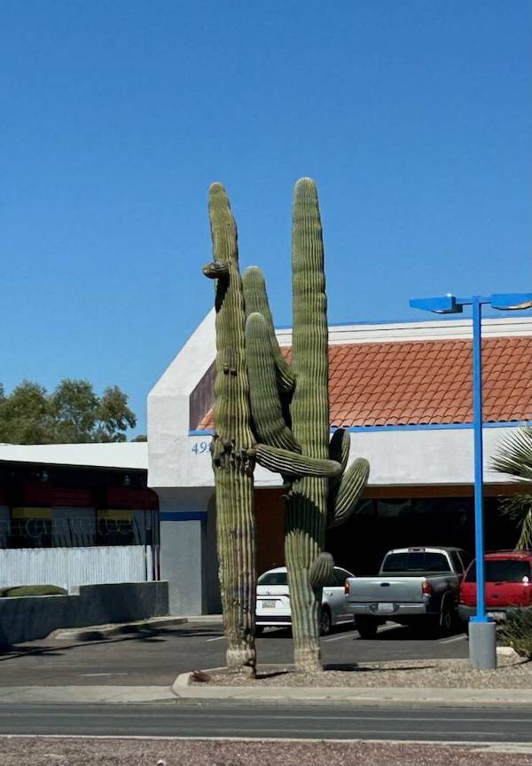 Dirty Dump For Dirty Minds