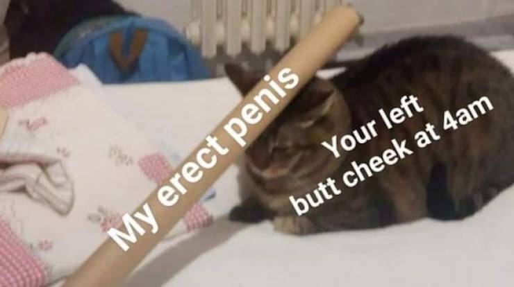 NSFW Memes To Add Some Spice To Your Life