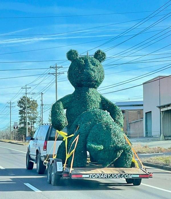 Dirty Dump For Dirty Minds