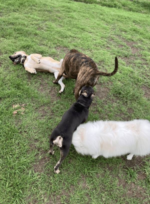 Dirty Minds Are Welecome!