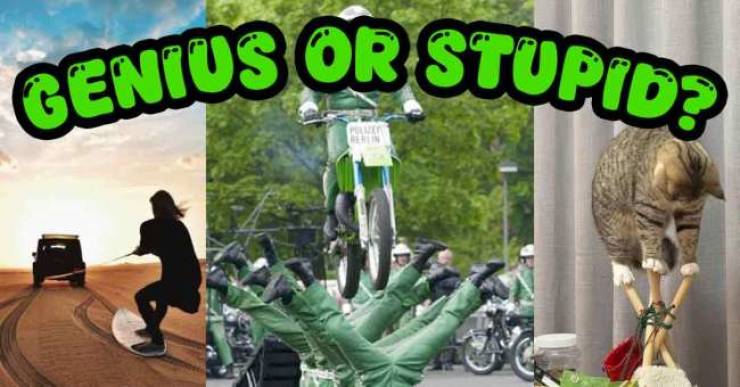 Somewhere Between Brilliant and Ridiculous