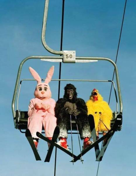 Daily Picdump