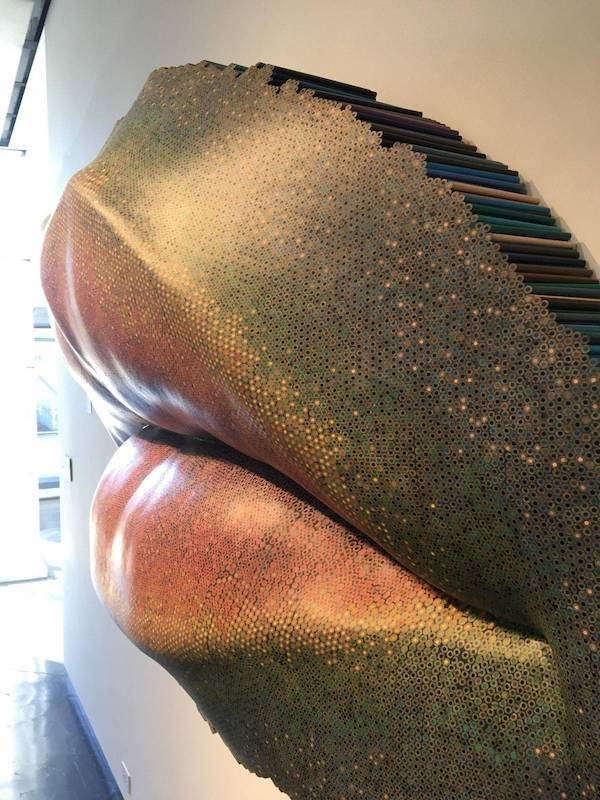 Daily Picdump