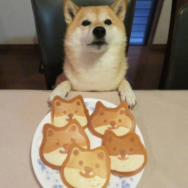 Daily Picdump
