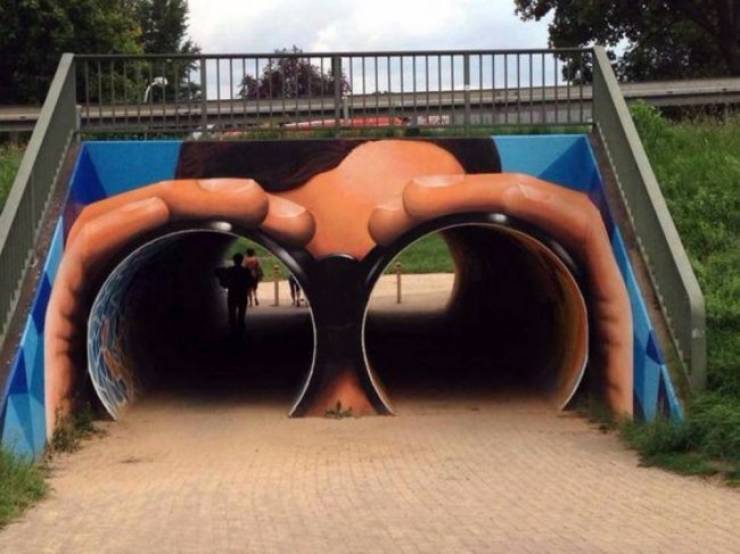 Daily Picdump
