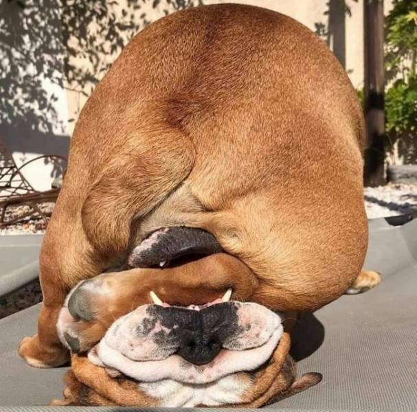 Daily Picdump