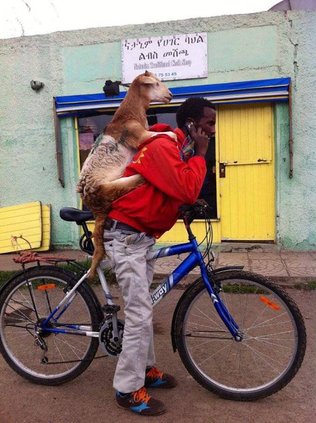 Daily Picdump