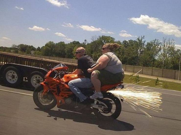 Daily Picdump