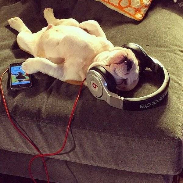 Daily Picdump
