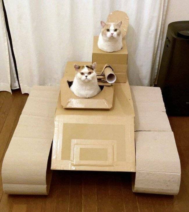 Daily Picdump