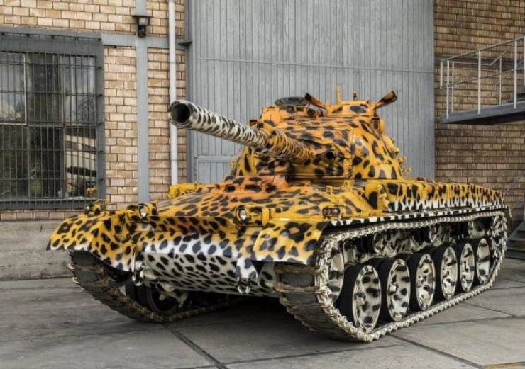 Daily Picdump