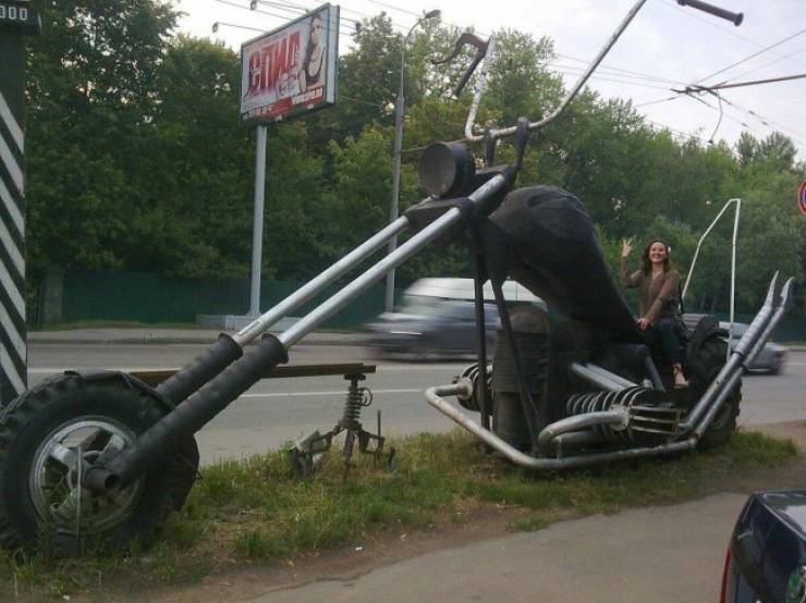 Daily Picdump