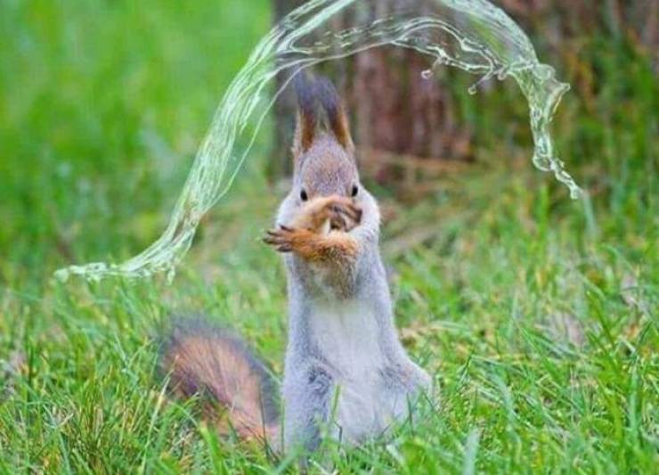 Daily Picdump