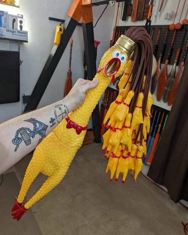 Daily Picdump