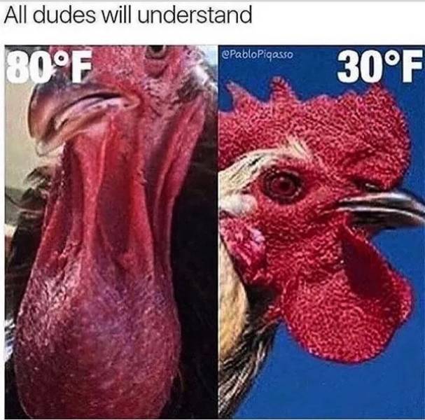 NSFW Memes To Add Some Spice To Your Life
