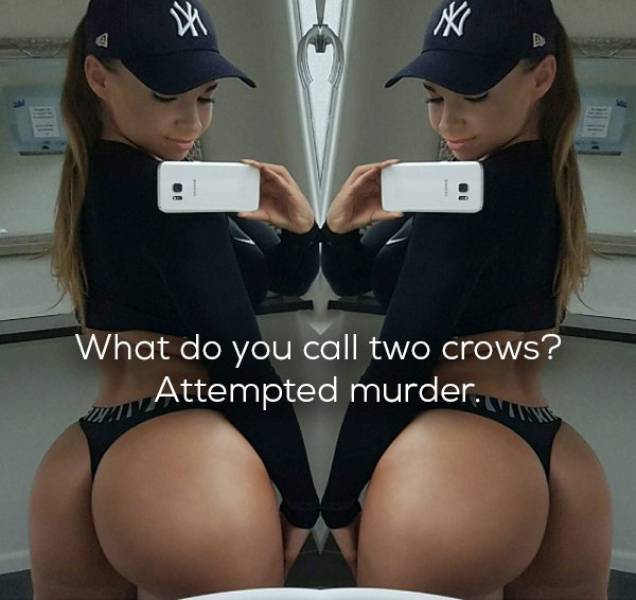 These Sweeties Are Much Funnier Than You Would’ve Imagined