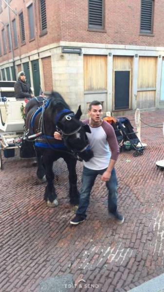 Daily Picdump [WEEKEND EDITION]