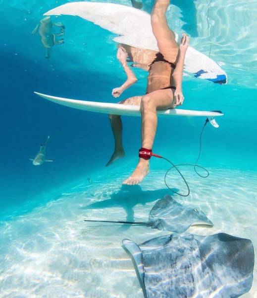 Daily Picdump [WEEKEND EDITION]