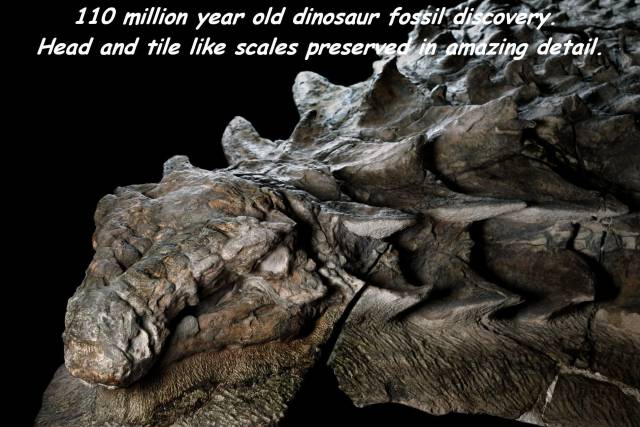 Daily Picdump [WEEKEND EDITION]