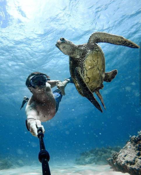 Daily Picdump [WEEKEND EDITION]