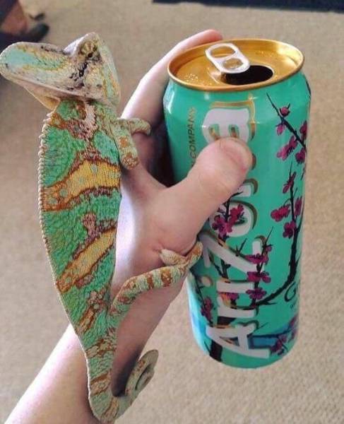 Daily Picdump [WEEKEND EDITION]